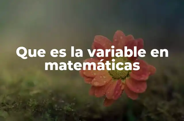 Que es la Variable en Matemáticas