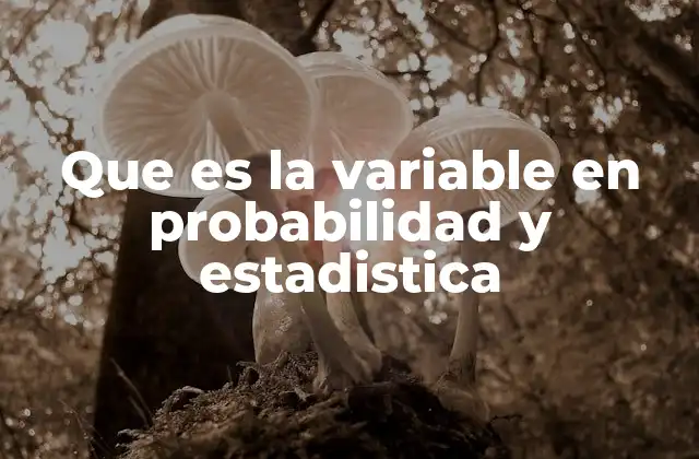 Que es la Variable en Probabilidad y Estadistica