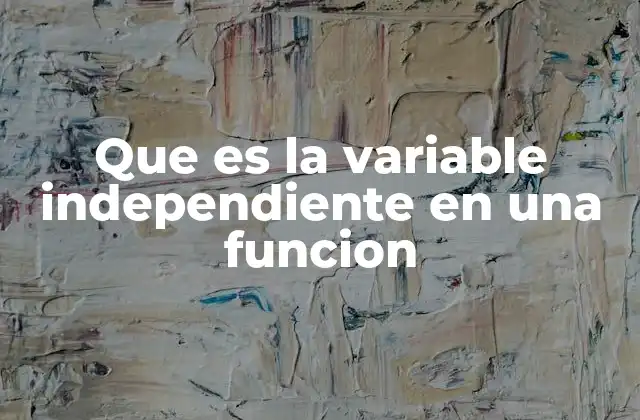 Que es la Variable Independiente en una Funcion