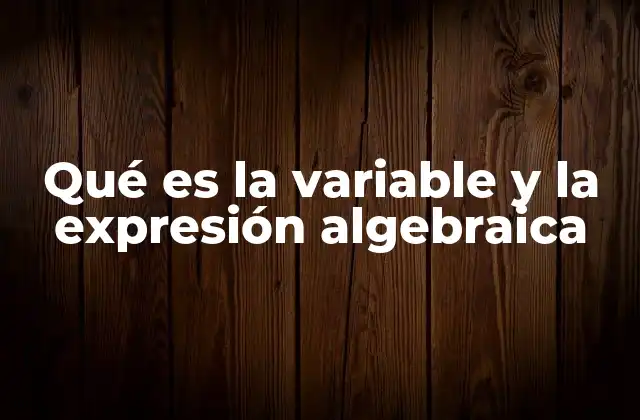 Qué es la Variable y la Expresión Algebraica