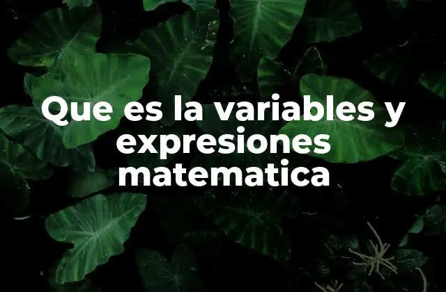 Que es la Variables y Expresiones Matematica 2 La importancia del lenguaje algebraico en matemáticas