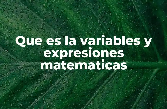 El papel de las variables en las matemáticas