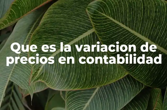 Que es la Variacion de Precios en Contabilidad