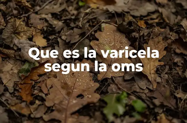 Que es la Varicela Segun la Oms