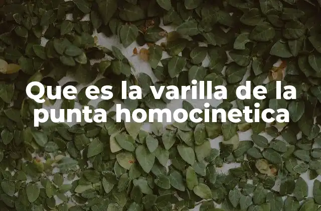 Que es la Varilla de la Punta Homocinetica