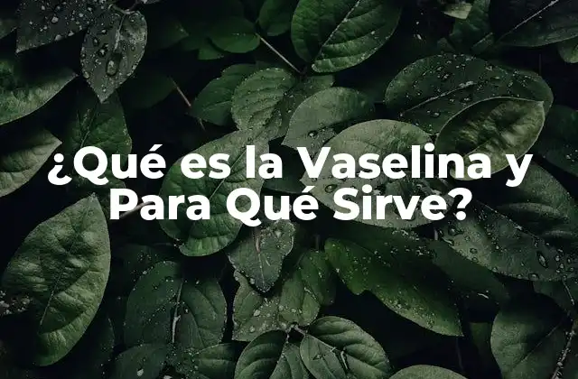 ¿qué es la Vaselina y para Qué Sirve?