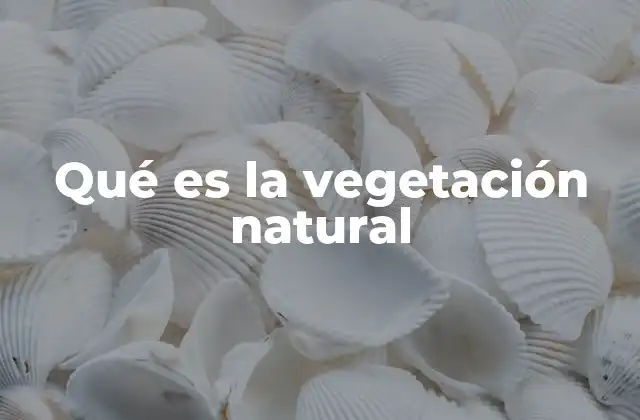 Qué es la Vegetación Natural