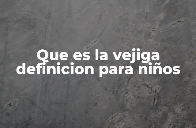 Que es la Vejiga Definicion para Niños