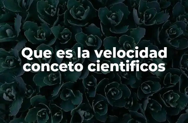 Que es la Velocidad Conceto Cientificos