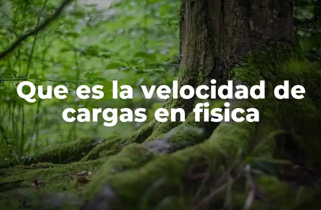Que es la Velocidad de Cargas en Fisica