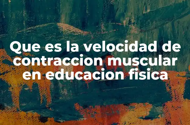Que es la Velocidad de Contraccion Muscular en Educacion Fisica