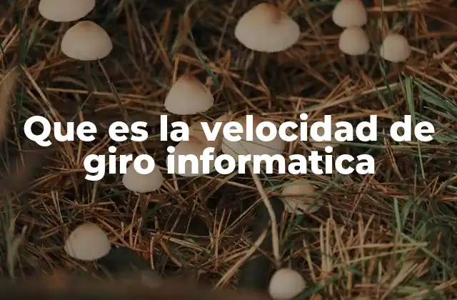 Que es la Velocidad de Giro Informatica