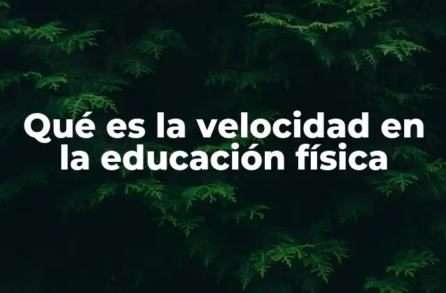 La importancia de la velocidad en el desarrollo físico