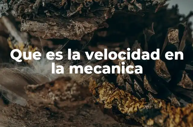 Que es la Velocidad en la Mecanica