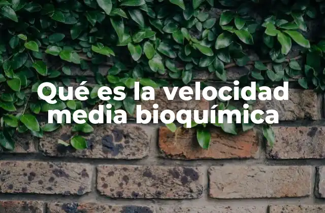 Qué es la Velocidad Media Bioquímica