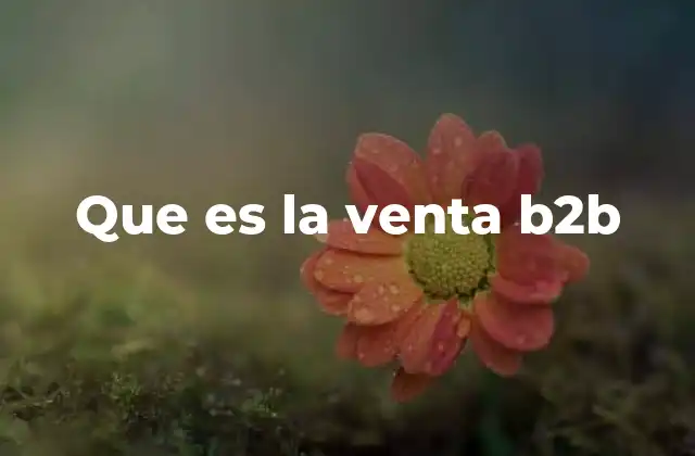 Que es la Venta B2b