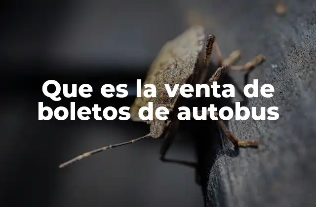 Que es la Venta de Boletos de Autobus