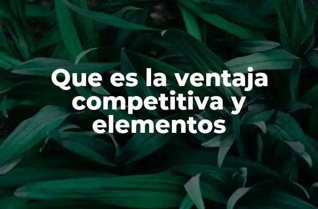 Cómo una empresa puede construir una ventaja sostenible