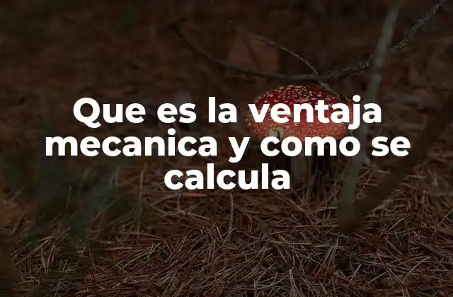 Que es la Ventaja Mecanica y como Se Calcula