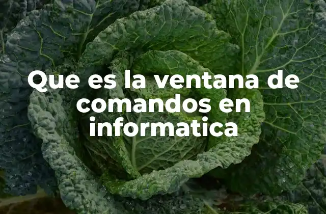 Que es la Ventana de Comandos en Informatica 2 La interfaz de texto como herramienta clave en sistemas operativos