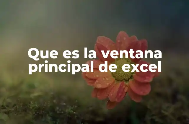 Que es la Ventana Principal de Excel