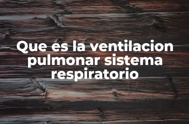 Que es la Ventilacion Pulmonar Sistema Respiratorio