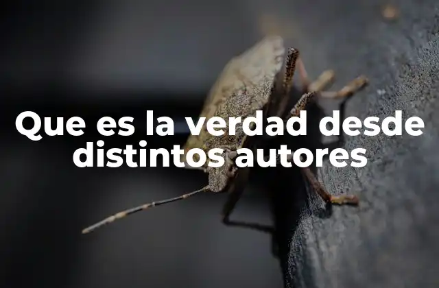 Diversidad de perspectivas filosóficas sobre la verdad