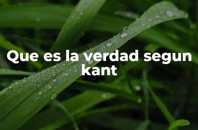 Que es la Verdad Segun Kant