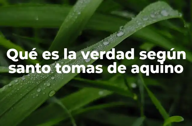 La noción de verdad en el pensamiento escolástico