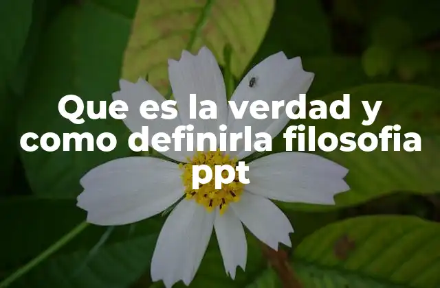 Que es la Verdad y como Definirla Filosofia Ppt 2 La importancia de la verdad en la construcción del conocimiento