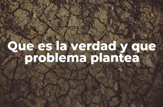 Que es la Verdad y que Problema Plantea