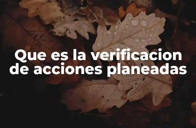 Que es la Verificacion de Acciones Planeadas