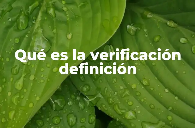 Qué es la Verificación Definición