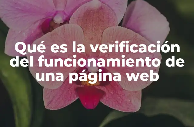 Qué es la Verificación Del Funcionamiento de una Página Web 2 Cómo asegurar la operatividad de una plataforma digital
