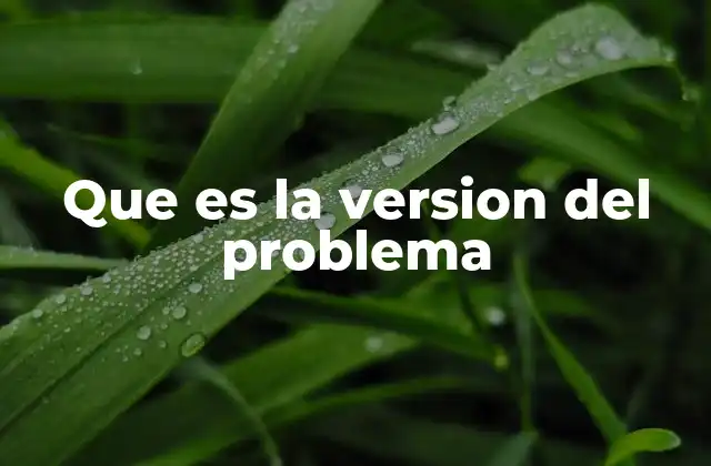 Cómo la versión del problema influye en el enfoque de la solución