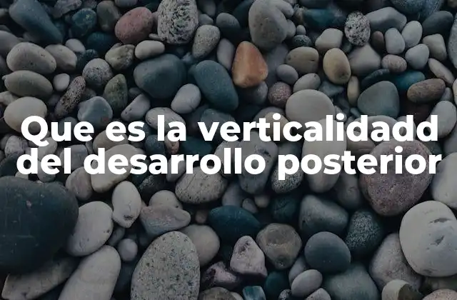 Que es la Verticalidadd Del Desarrollo Posterior