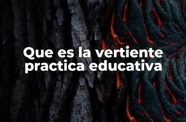 Que es la Vertiente Practica Educativa