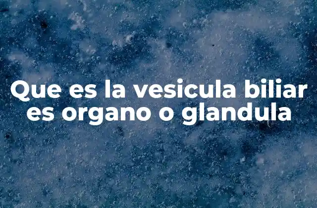 Que es la Vesicula Biliar es Organo o Glandula