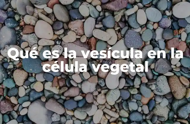 El papel de las vesículas en la organización interna de la célula vegetal