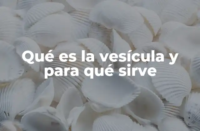 Qué es la Vesícula y para Qué Sirve