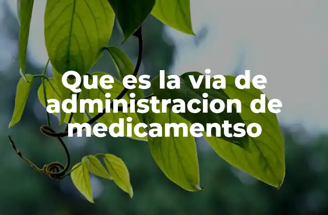 Que es la Via de Administracion de Medicamentso