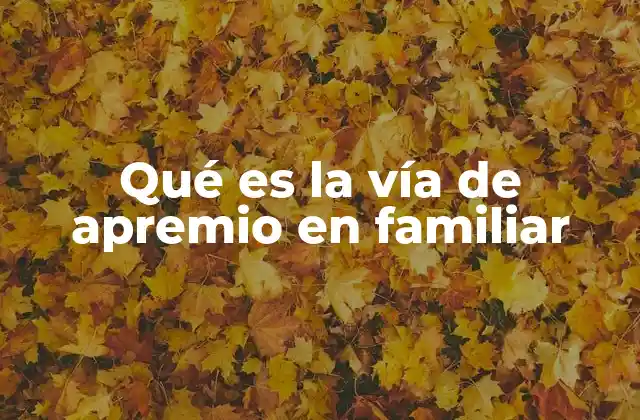 Qué es la Vía de Apremio en Familiar