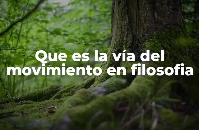 Que es la Vía Del Movimiento en Filosofia