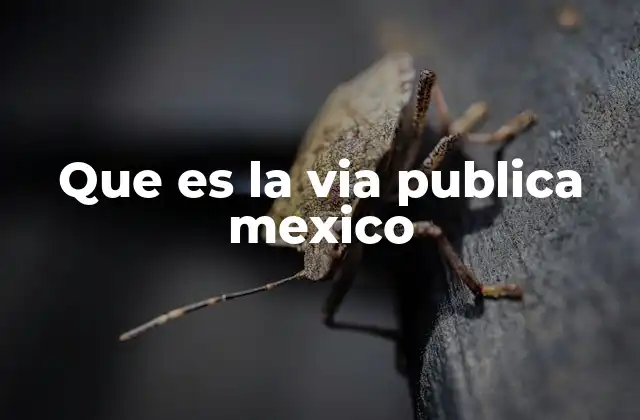Que es la Via Publica Mexico