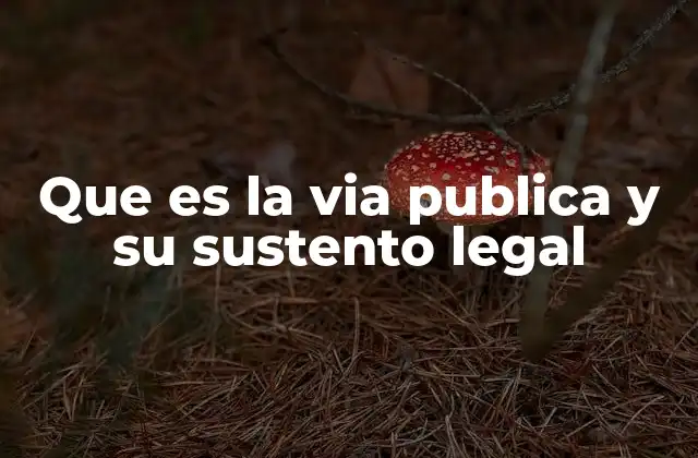 Que es la Via Publica y Su Sustento Legal