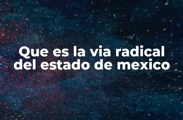 Que es la Via Radical Del Estado de Mexico