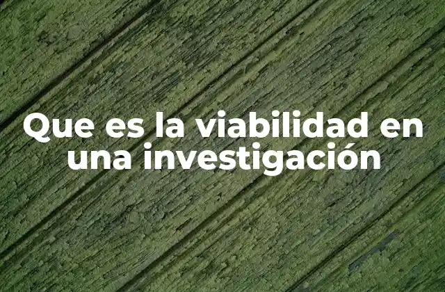 Que es la Viabilidad en una Investigación