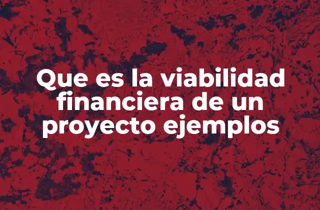 Importancia de la viabilidad financiera en la toma de decisiones empresariales