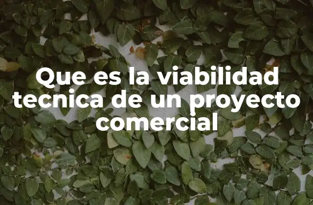 Que es la Viabilidad Tecnica de un Proyecto Comercial