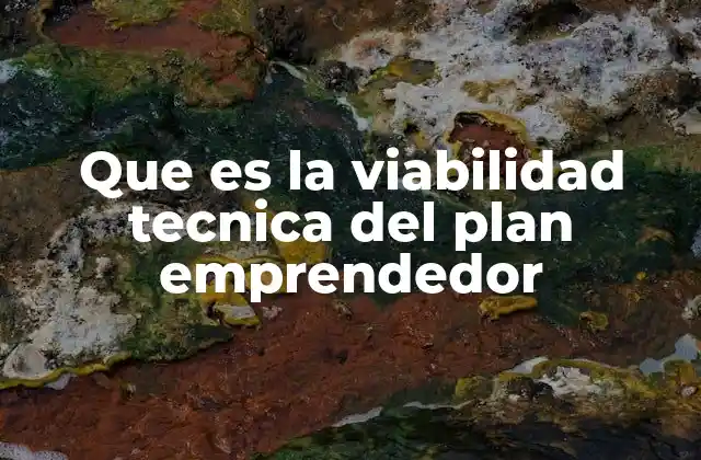 Que es la Viabilidad Tecnica Del Plan Emprendedor